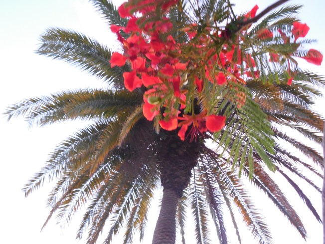 5-22-13 Gilchrist 160