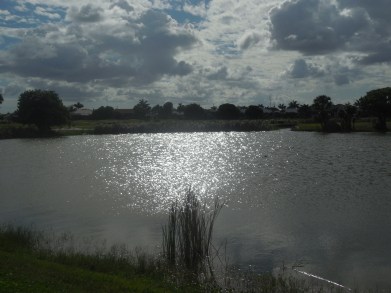 5-29-13 Golf Course 051