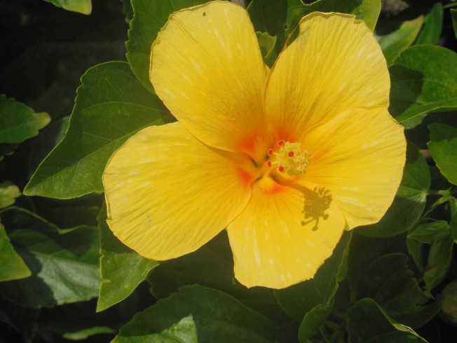 5-29-13 Golf Course 073