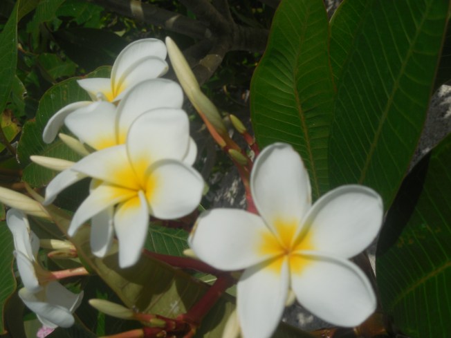 5-29-13 Golf Course 077