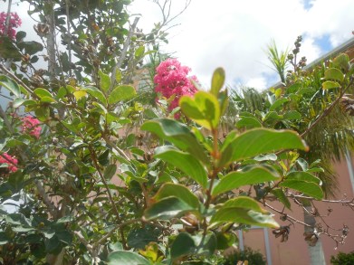 5-31-13 Awards Ceremony 036