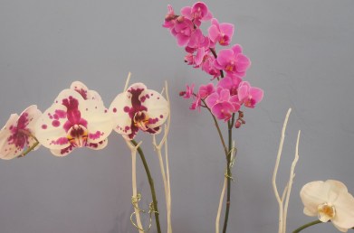 6-2-13 Casey's Show! 033