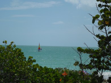 6-9-13 St Amands Circle 019