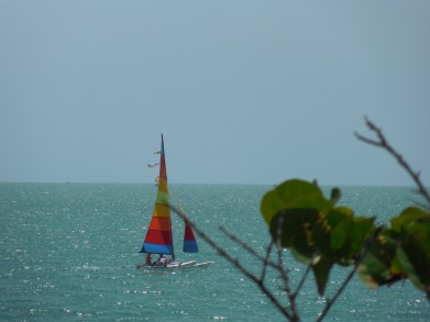 6-9-13 St Amands Circle 021