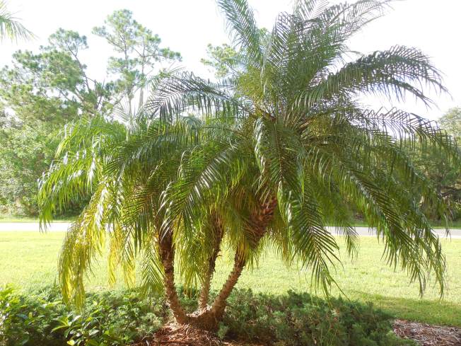 7-10-13 Walk & Gilchrist 014