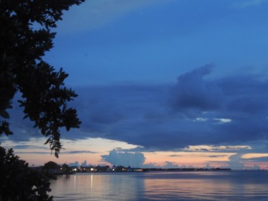 7-10-13 Walk & Gilchrist 081