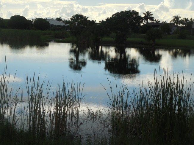 7-20-13 Golf course 135