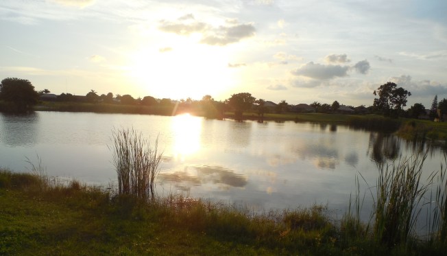 7-28-13 Golf Course 051