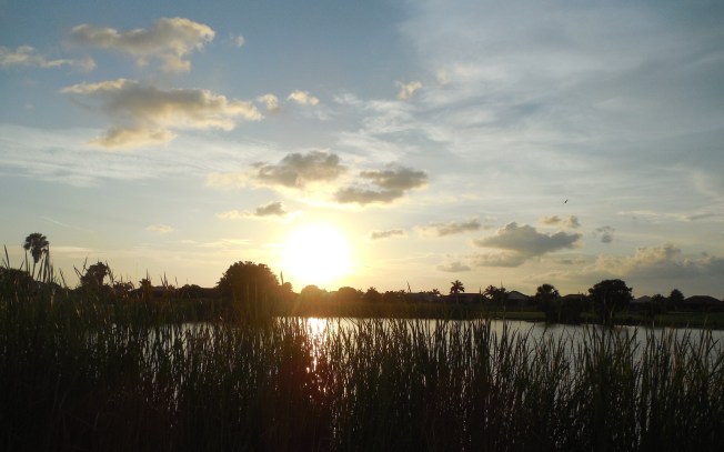 7-28-13 Golf Course 061