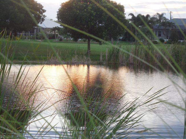 7-28-13 Golf Course 173