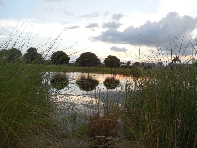 7-28-13 Golf Course 191