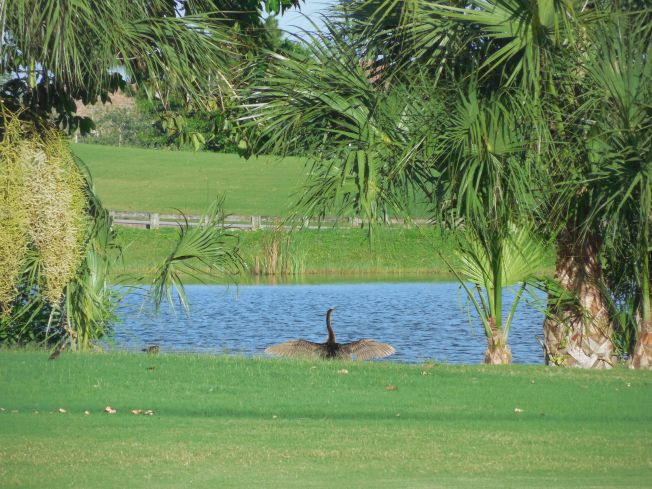 7-7-13 Golf Course 151