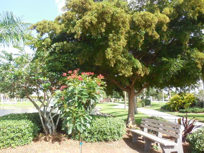 7-8-13 Laishley Park 015