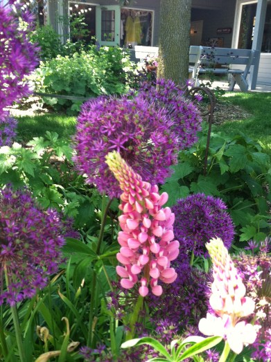 Photo 2013-06-18 11.19.25 AM(2)