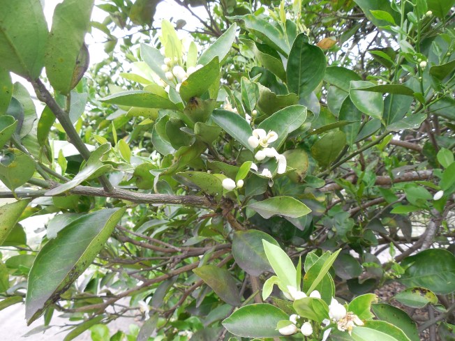 3-1-13 Class Trip 228