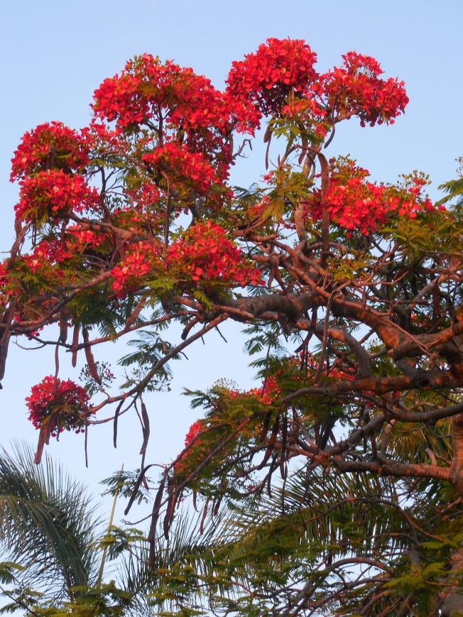 5-22-13 Gilchrist 041