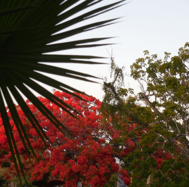 5-22-13 Gilchrist 056