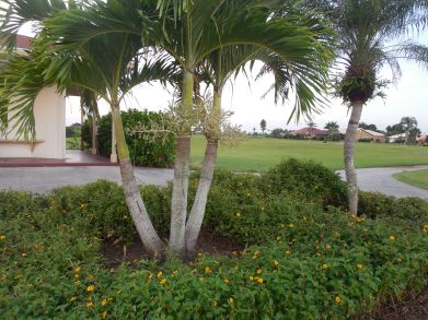 7-28-13 Golf Course 159