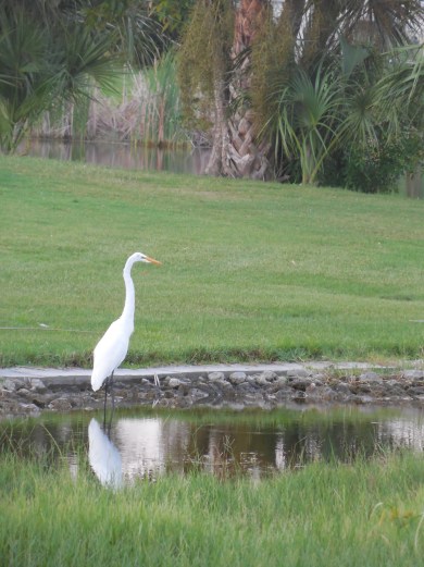 7-28-13 Golf Course 170