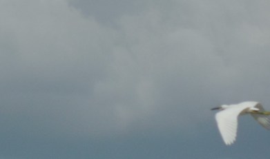 8-11-12 Golf Course 047