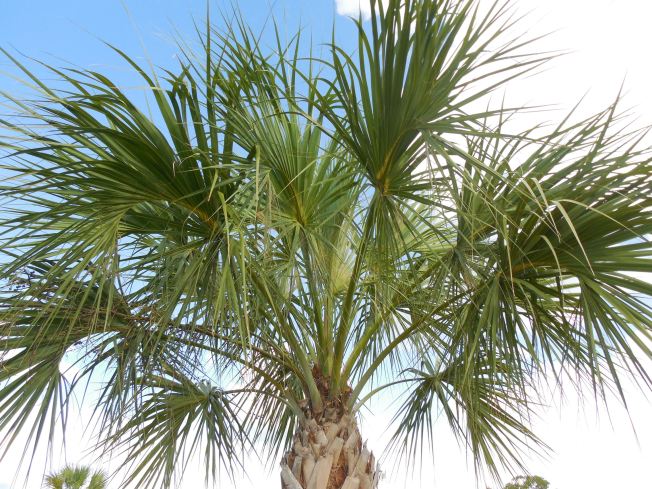 8-24-13 golf course 004