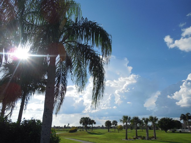 8-24-13 golf course 073