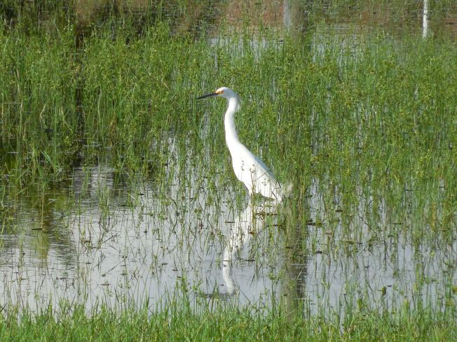 8-24-13 golf course 082