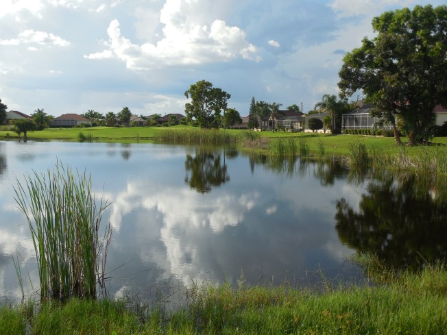 8-24-13 golf course 115