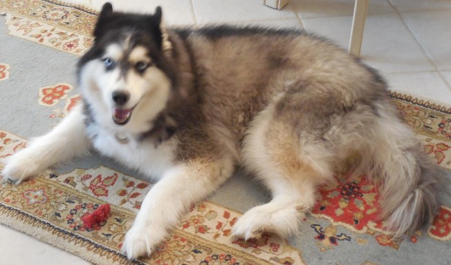 8-25-13 Casey's B-Day Dinner 008