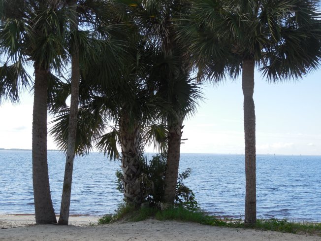 8-29-13 Port Charlotte Beach Club 062