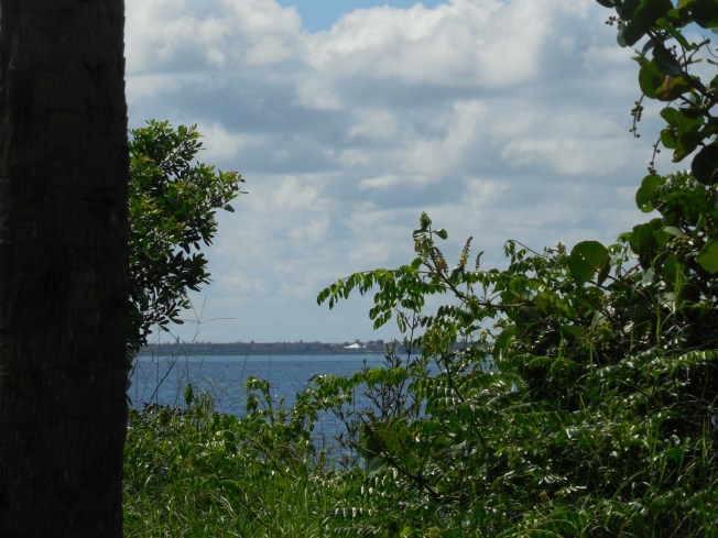 8-29-13 Port Charlotte Beach Club 109