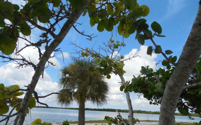 8-29-13 Port Charlotte Beach Club 233