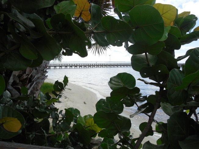 8-29-13 Port Charlotte Beach Club 267