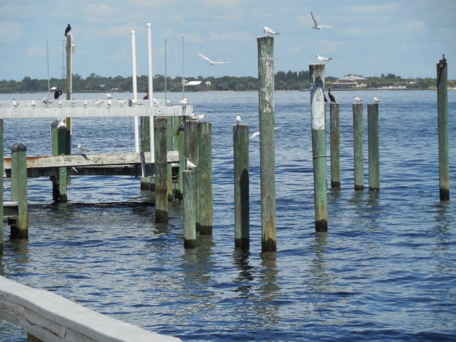 9-1-13 Gilchrist Park 035