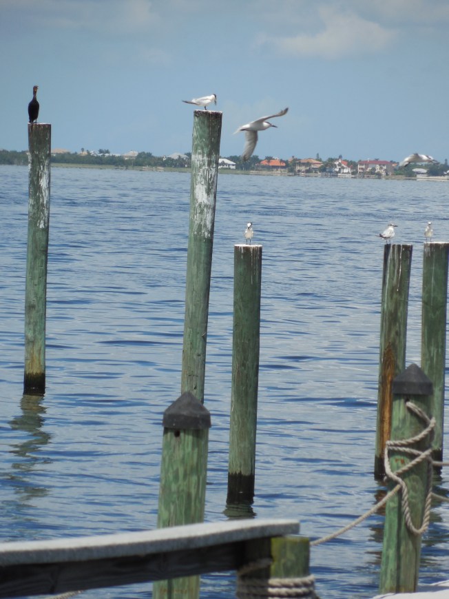 9-1-13 Gilchrist Park 085