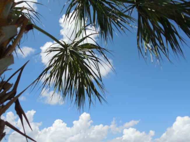 9-1-13 Gilchrist Park 115