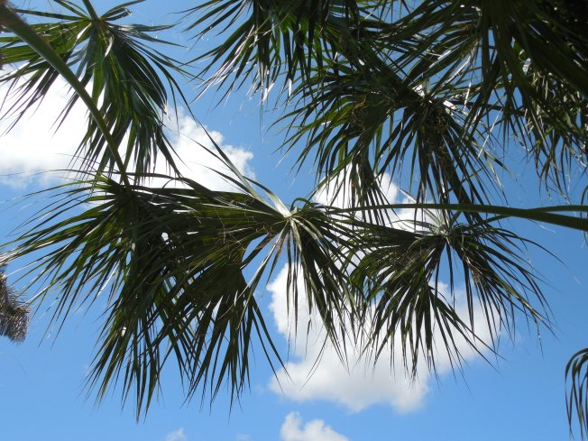 9-1-13 Gilchrist Park 117