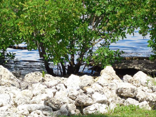 9-1-13 Gilchrist Park 154