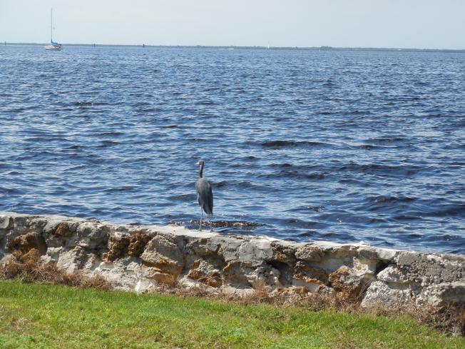 9-21-13 Gichrist Park 009