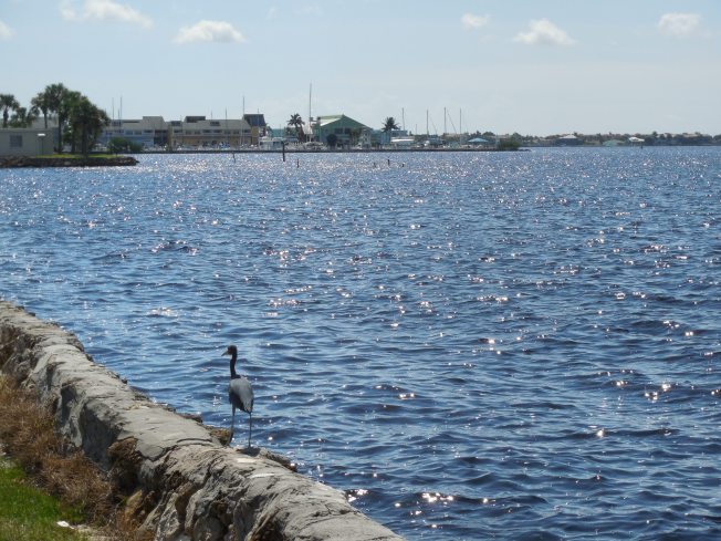 9-21-13 Gichrist Park 014