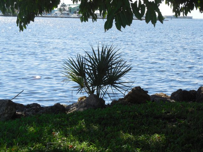 9-21-13 Gichrist Park 158