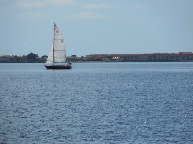 9-29-13 Bayshore Park 057