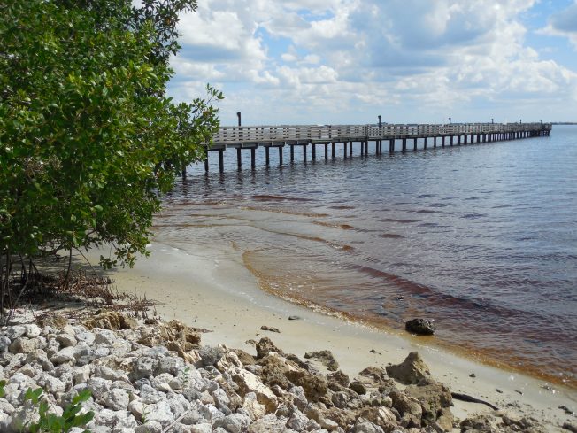 9-29-13 Bayshore Park 095