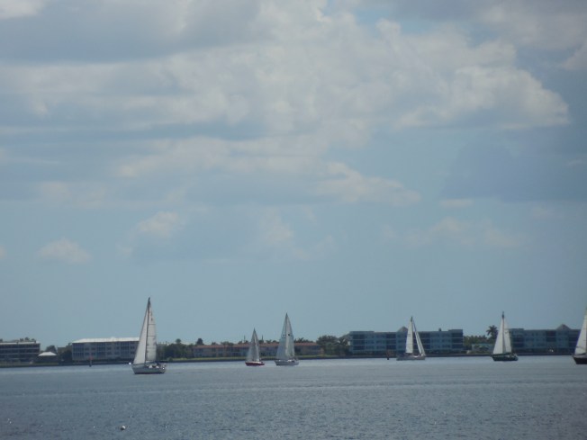 9-29-13 Bayshore Park 105