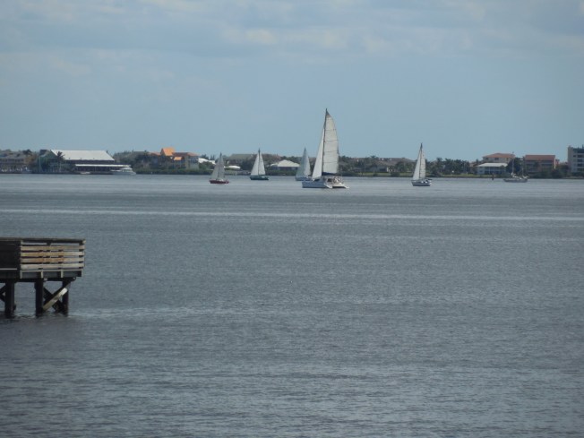 9-29-13 Bayshore Park 145