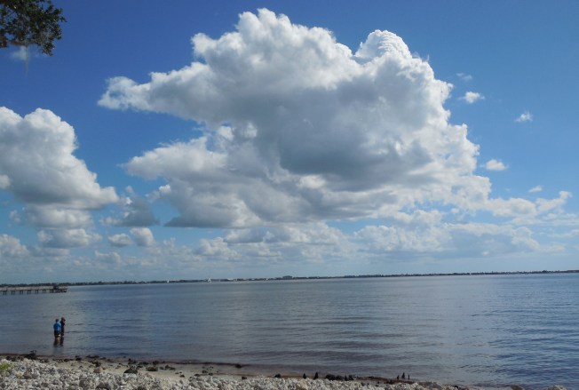 9-29-13 Bayshore Park 156