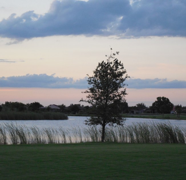 10-1-13 golf course-sunset 074