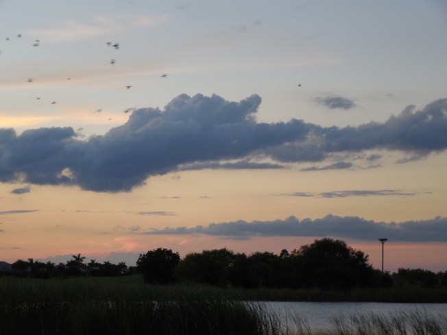 10-1-13 golf course-sunset 075
