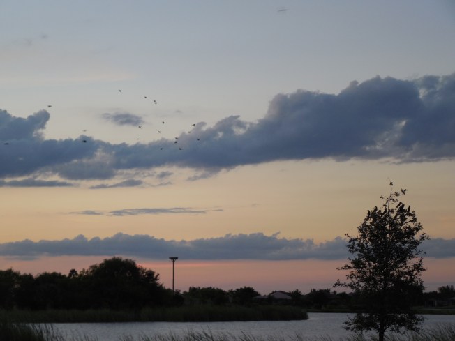 10-1-13 golf course-sunset 076