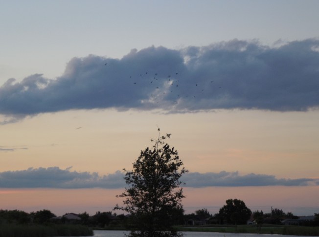 10-1-13 golf course-sunset 078